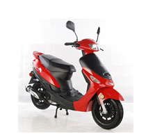 TaoTao 50cc Gas Scooter (4 Colors)