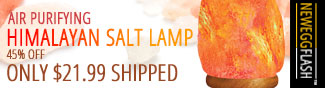 AIR PURIFYING HIMALYAN SALT LAMP. 45% OFF ONLY $21.99 SHIPPED. NEWEGGFLASH.