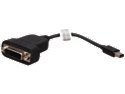 SAPPHIRE 100925 Active Mini Display Port (M) to Single-Link DVI (F) Cable 