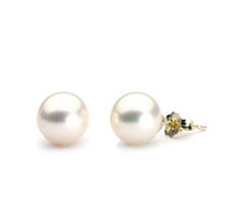 8mm AAA Quality Freshwater White Pearl 14k Gold Earrings