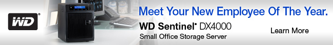 Meet Your New Employee Of The Year. WD Sentinel DX4000 Small Office Storage Server. Learn More.