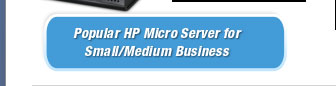 HP ProLiant N40L Ultra Micro Tower Server System AMD Turion II Neo N40L 1.5GHz 2-Core 2GB (1 x 2GB) 1 x 250GB