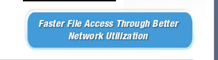 Microsoft Windows Small Business Server Essential 2011 - OEM 