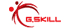 G.SKILL Logo