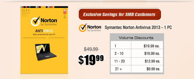 Symantec Norton Antivirus 2013 - 1 PC 