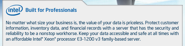 Intel - Built for Professionals. No matter what size your business is, the value of your data is priceless. Protect customer information, inventory data, and financial records with a server that has the security and reliability to be a nonstop workhorse. Keep your data accessible and safe at all times with an affordable Intel Xeon processor E3-1200 v3 family-based server.