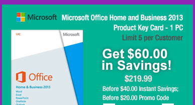 Microsoft Office Home and Business 2013 Product Key Card - 1 PC