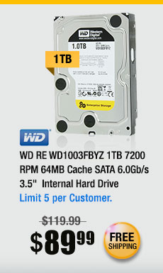 WD RE WD1003FBYZ 1TB 7200 RPM 64MB Cache SATA 6.0Gb/s 3.5"  Internal Hard Drive