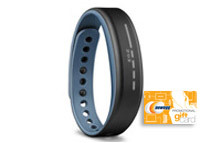 Garmin Vivosmart (2 Choices)