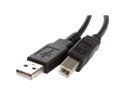 Rosewill 10ft. USB2.0 A Male to B Male Cable, Black, Model RCW-101RT 