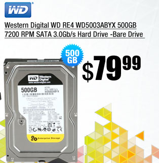 Western Digital WD RE4 WD5003ABYX 500GB 7200 RPM SATA 3.0Gb/s Hard Drive -Bare Drive 