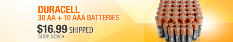 Newegg Flash  Duracell 30 AA + 10 AAA Batteries 