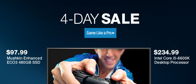 4 DAY SALE