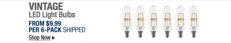 Newegg Flash - Vintage LED Light Bulbs