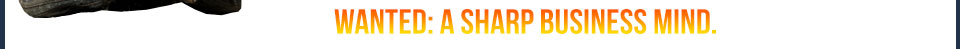 Wanted: A sharp business mind