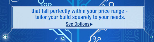 that fall perfectly within your price range - tailor your build squarely to your needs. See Options 