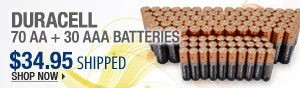 Newegg Flash - Duracell 70 AA + 30 AAA Batteries