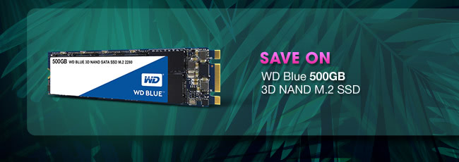 WD Blue 500GB M.2 SSD