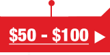 $50 - $100