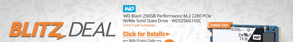 WD Black 256GB Performance M.2 2280 PCIe NVMe Solid State Drive - WDS256G1X0C