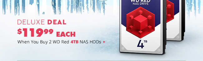 Deluxe Deal - 2 WD Red 4TB NAS HDDs