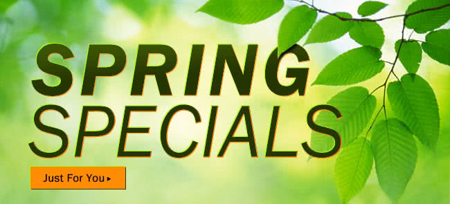 Spring Specials