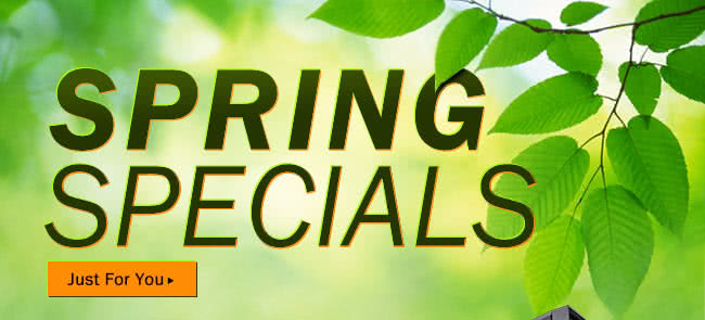 Spring Specials