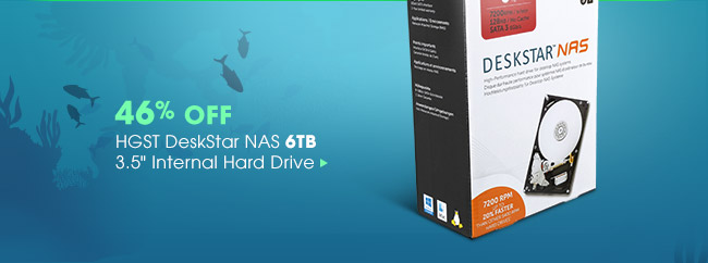 46% Off HGST DeskStar NAS 6TB 3.5" Internal Hard Drive