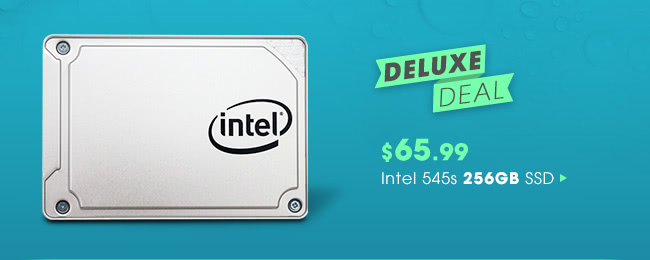 Deluxe Deal - $65.99 Intel 545s 256GB SSD