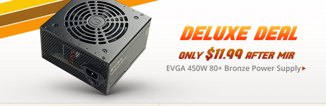 Deluxe Deal - EVGA 450W 80+ Bronze Power Supply