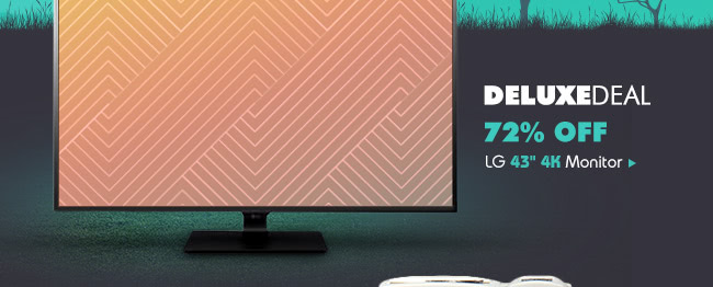 Deluxe Deal - LG 43" 4K Monitor