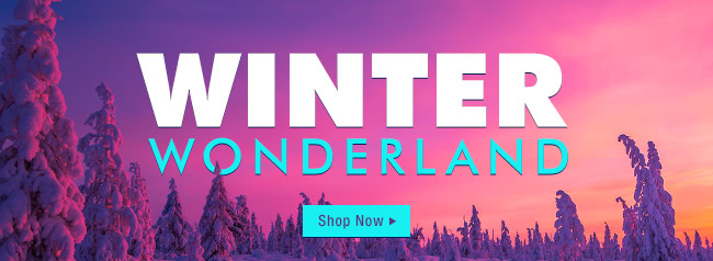 Winter Wonderland - Shop Now