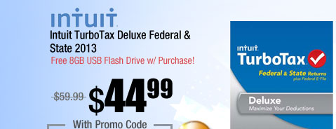 Intuit TurboTax Deluxe Federal & State 2013