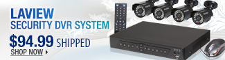 Newegg Flash - LaView Security DVR System.