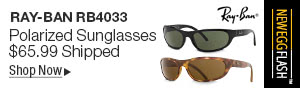 Newegg Flash - Ray-Ban RB4033 Polarized Sunglasses