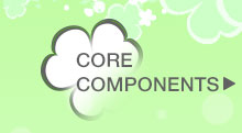 CORE COMPONENTS