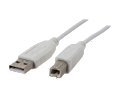 Coboc USB-6-AB-W 6 ft. USB 2.0 A Male to B Male Cable M-M - OEM 