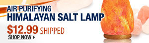 Newegg Flash - Air Purifying Himalayan Salt Lamp.