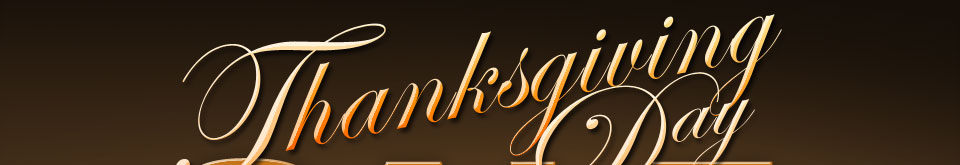 THANKSGIVING DAY SALE.
