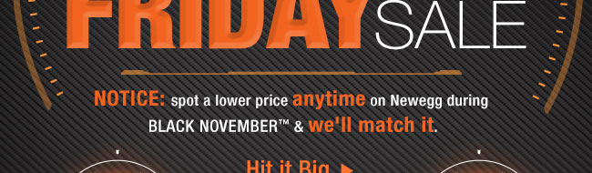 NOTICE: spot a lower price anytime on Newegg during Black November & we’ll match it. Hit it Big 