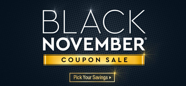 Black November Coupon Sale