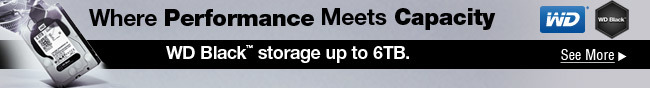 WD - Where Performance Meets Capacity. WD Black storage up to 6TB.