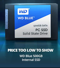 Price Too Low to Show WD Blue 500GB Internal SSD