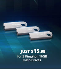 3 Kingston 16GB Flash Drives