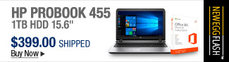 Newegg Flash  HP ProBook 455 1TB HDD 15.6"