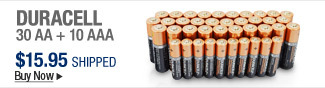 Newegg Flash  Duracell 30 AA + 10 AAA