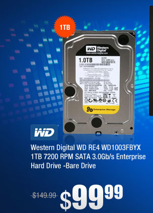 Western Digital WD RE4 WD1003FBYX 1TB 7200 RPM SATA 3.0Gb/s Enterprise Hard Drive -Bare Drive