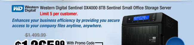 Western Digital Sentinel DX4000 8TB Sentinel Small Office Storage Server