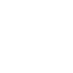 fpv-flight
