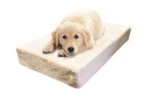 Milliard Premium Orthopedic Memory Foam Dog Bed w/ Removable Cover (4 Sizes)